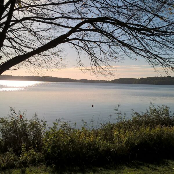 Sonne auf dem Kellersee